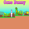 Cano Bunny: A Fun and Engaging Adventure Game